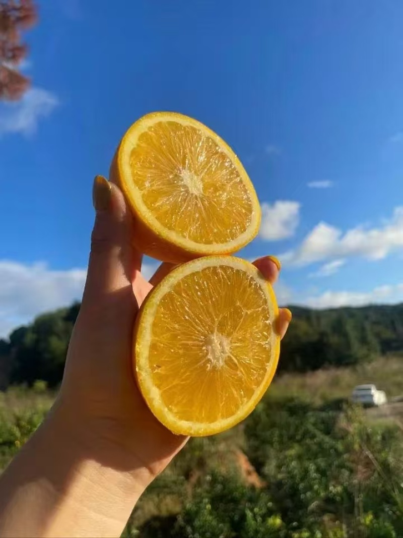 赣南纽荷尔脐橙，全国供应，品质保证，量大从优，欢迎来电