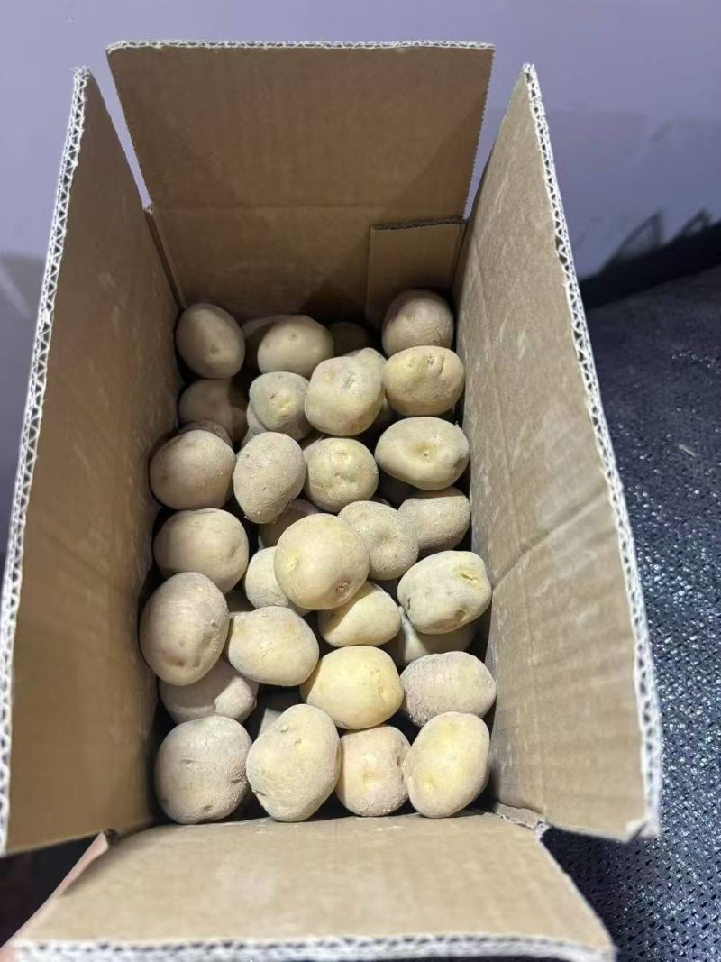 小土豆【恩施小土豆】马尔科土豆，规格齐全，基地直发