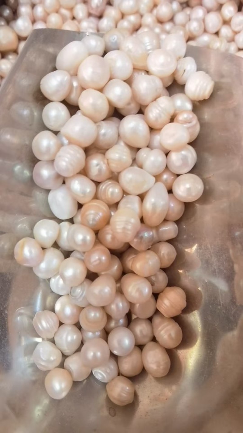 药用珍珠天然珍珠无孔供佛菩萨修曼扎装藏珍珠大货