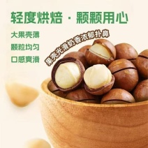 夏威夷果24-26大果精品果大颗粒新鲜营养奶香味精选酥脆