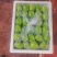 牛奶枣/云南青枣/大枣/全国发货对接电商超市