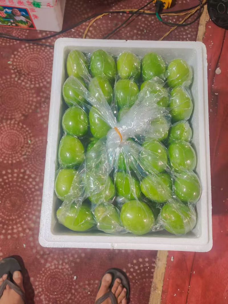 牛奶枣/云南青枣/大枣/全国发货对接电商超市