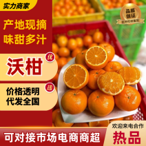 沃柑/口感甜，全国供应电商团购，快递一件代发