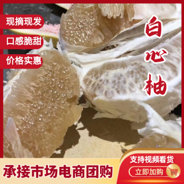 白心柚/湖北柚子/全国供应电商团购，快递一件代发