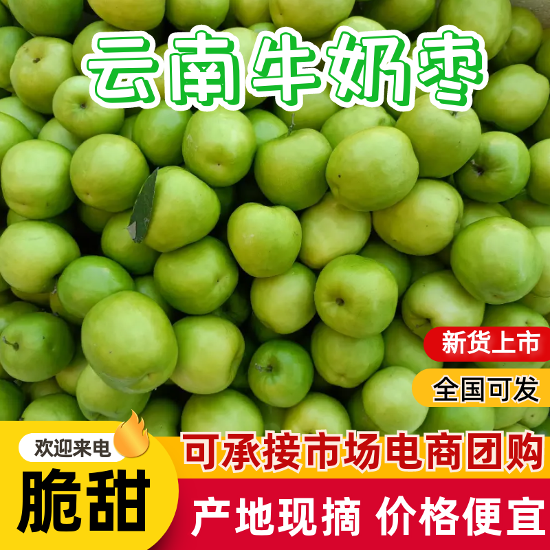 牛奶枣/云南青枣/大枣/全国发货对接电商超市