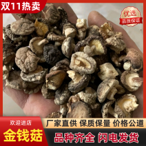 随州优质干香菇小香菇丁1.3~2.0cm，干净无杂质