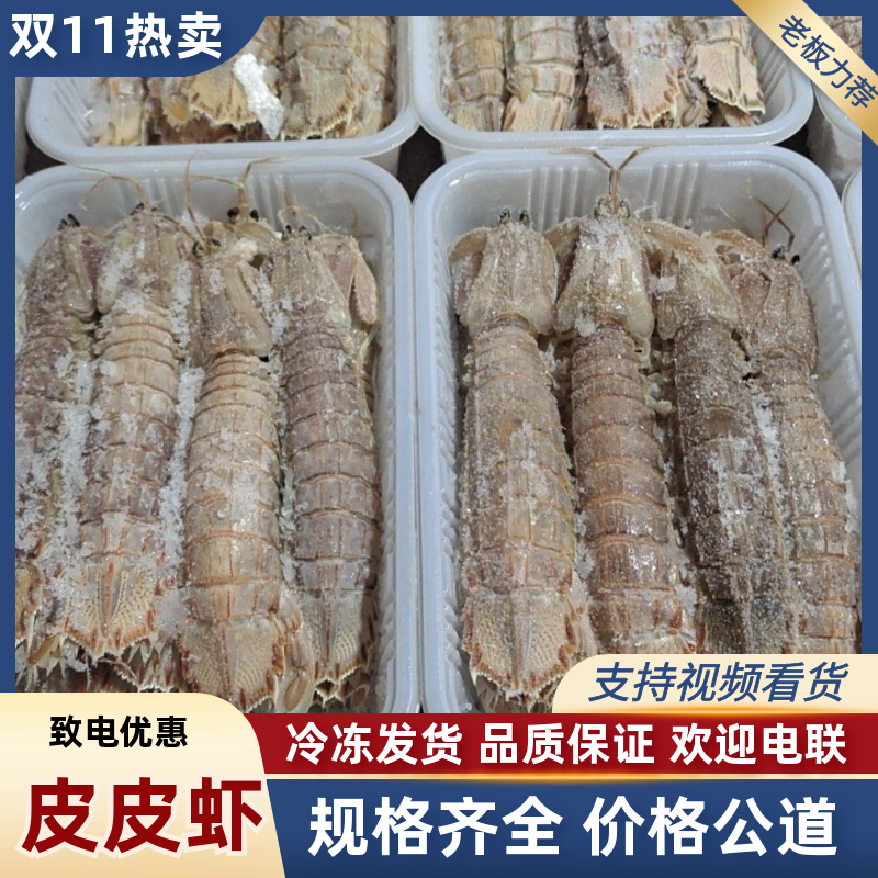 皮皮虾大母虾婆全母带膏全公品质好价格低欢迎来电