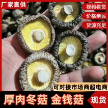 湖北精品冬菇干香菇厚肉冬菇今年新货干度好产地批发