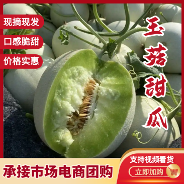 玉菇甜瓜精品白玉菇甜瓜奶香密可对接各大电商平台