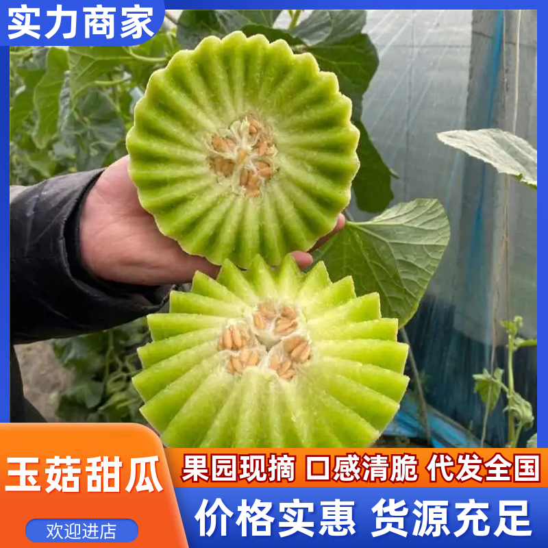 玉菇甜瓜海南玉菇甜瓜海量货源基地直发欢迎来电咨询