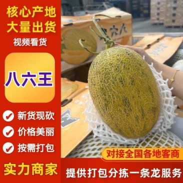 哈密瓜八六王海南八六王哈密瓜货源充足全国发货