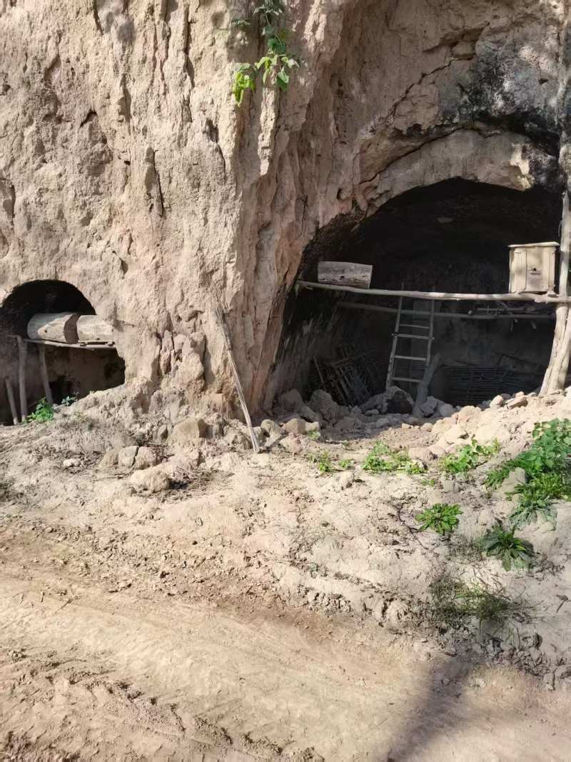 【正宗】优质农家土蜂蜜（赠送试用装不满意可退）
