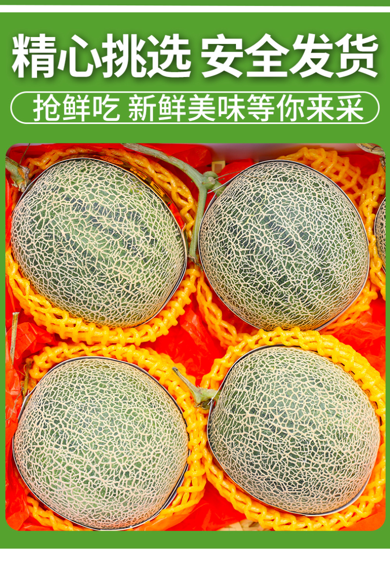 对接电商一件代发海南网纹瓜当季时令水果现摘现发供平台直播