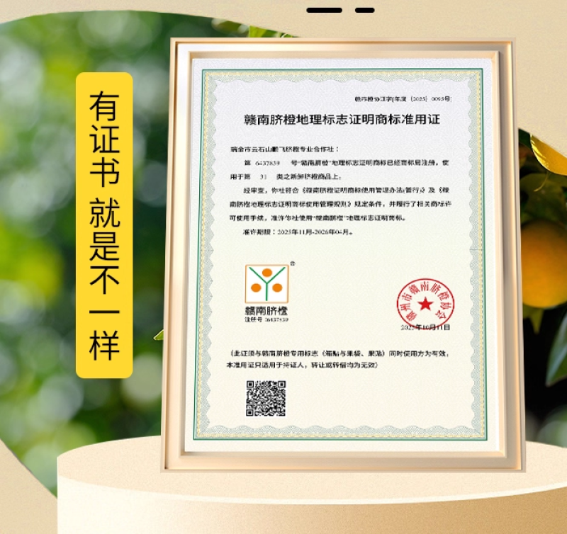 赣南脐橙榨汁橙子花皮果丑果信丰脐橙现采现发新鲜水果