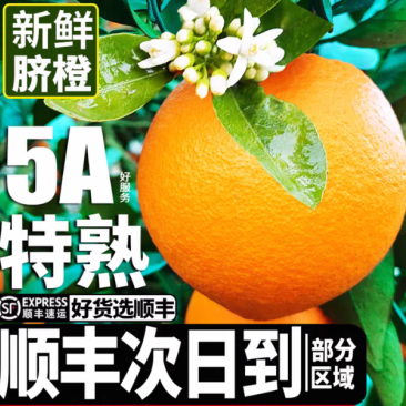 赣南脐橙榨汁橙子花皮果丑果信丰脐橙现采现发新鲜水果