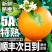 赣南脐橙榨汁橙子花皮果丑果信丰脐橙现采现发新鲜水果