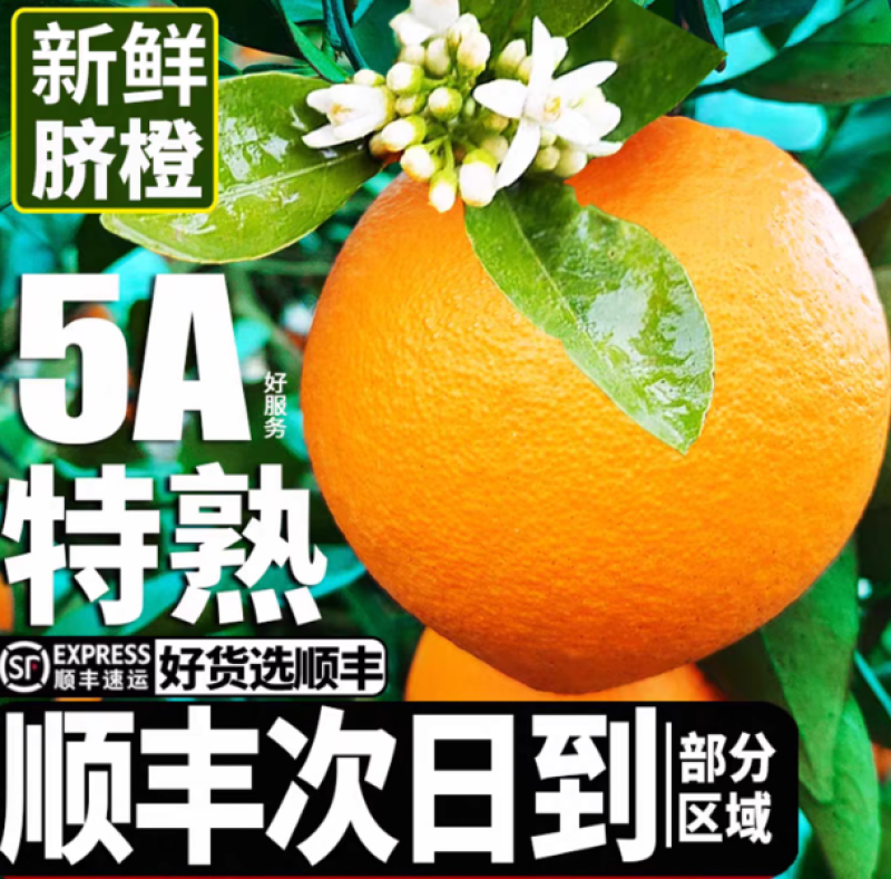 赣南脐橙榨汁橙子花皮果丑果信丰脐橙现采现发新鲜水果