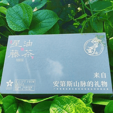藤茶【星油时代】210克*30袋/常年供应/散装礼盒装