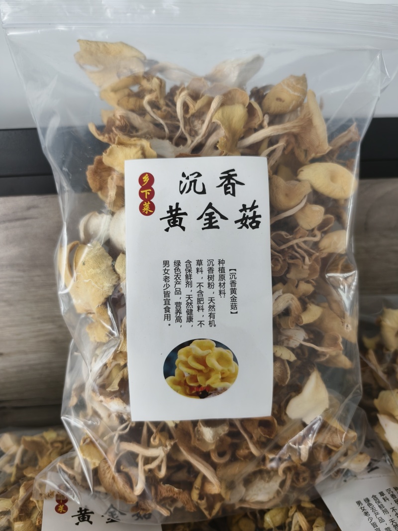 沉香黄金菇产地直发营养价值高不含保鲜剂保质保量