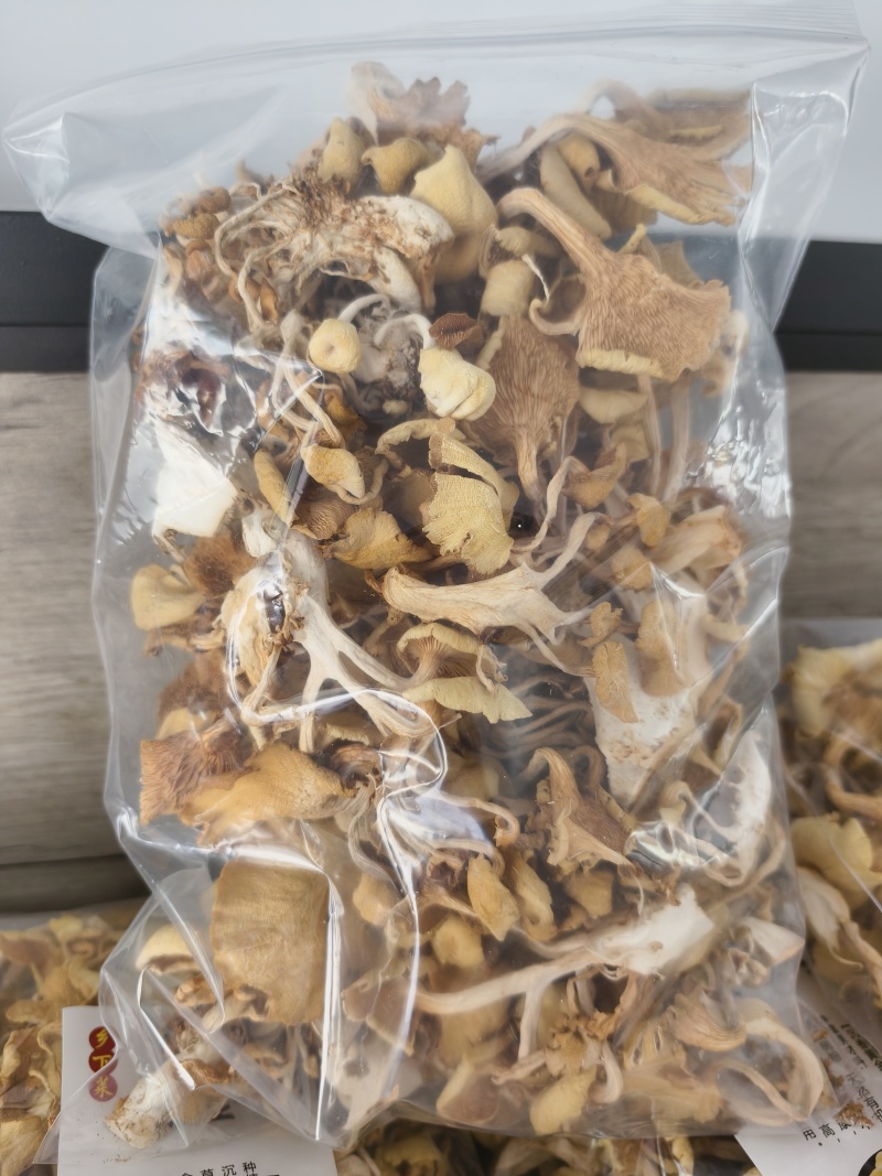 沉香黄金菇产地直发营养价值高不含保鲜剂保质保量