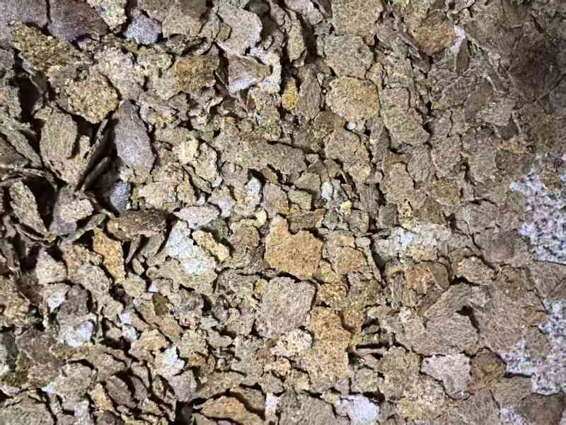 农家纯正花生麸无渣土品质好发货快产量大