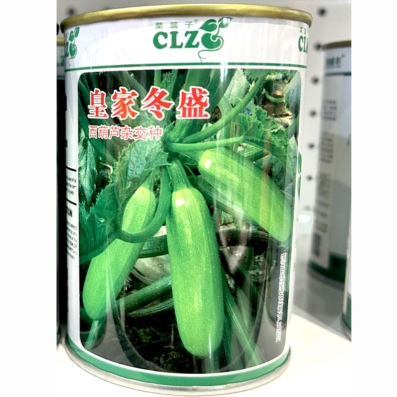 皇家冬盛西葫芦种子较耐低温低温弱光抗病性强瓜条直