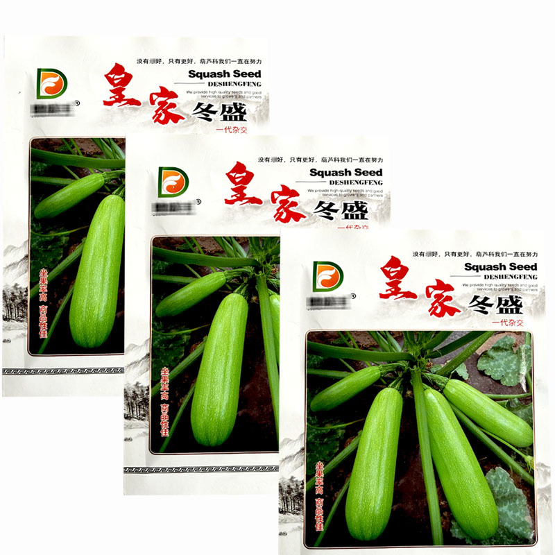 皇家冬盛西葫芦种子较耐低温低温弱光抗病性强瓜条直