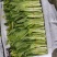 白菜苔湖北宜昌菜苔产地直发按需包装对接全国商超市场