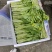 白菜苔湖北宜昌菜苔产地直发按需包装对接全国商超市场