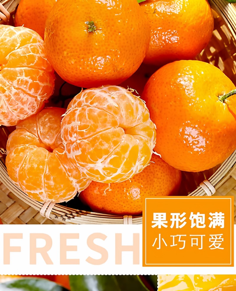 广西砂糖橘一件代发产地直发一手货源对接各大电商平台