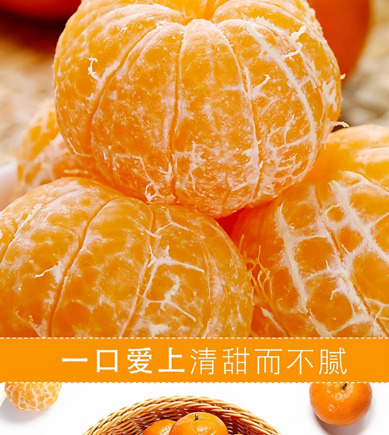 广西砂糖橘一件代发产地直发一手货源对接各大电商平台