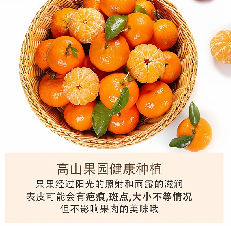 广西砂糖橘一件代发产地直发一手货源对接各大电商平台