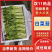 白菜苔湖北宜昌菜苔产地直发按需包装对接全国商超市场