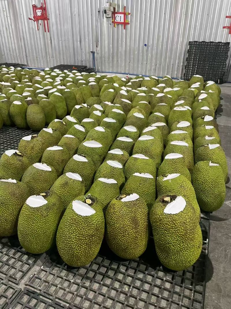 菠萝蜜红肉菠萝蜜产地直发口感甜保质保量对接全国