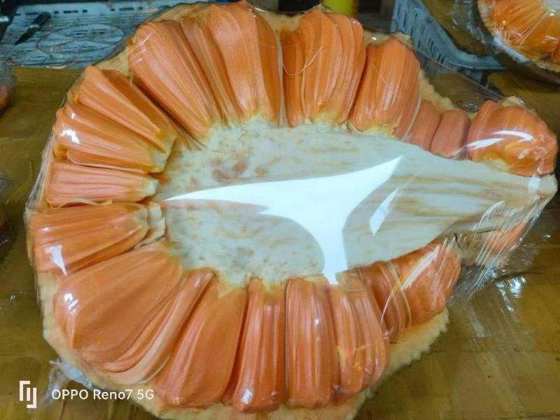 菠萝蜜红肉菠萝蜜产地直发口感甜保质保量对接全国