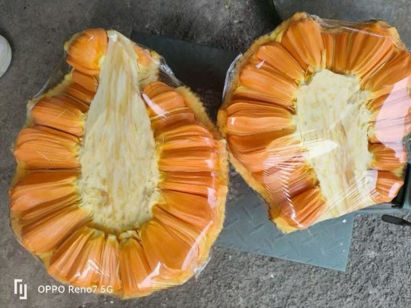 菠萝蜜红肉菠萝蜜产地直发口感甜保质保量对接全国