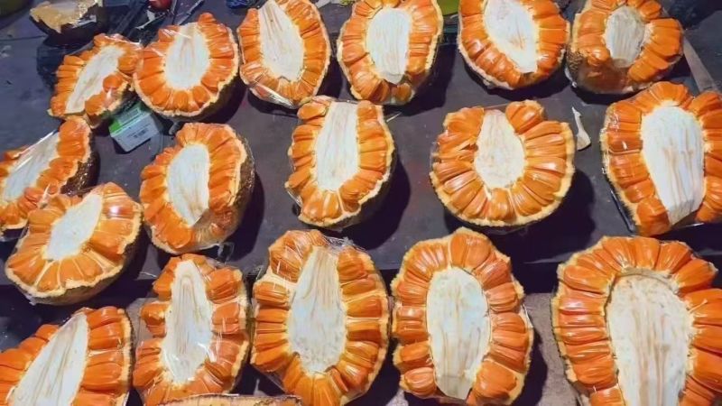 菠萝蜜红肉菠萝蜜产地直发口感甜保质保量对接全国