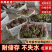湖北荆州洪湖红菜苔鲜嫩水分足各种长短规格都有打捆不失水量大