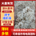 烘干咸虾皮码头直供虾皮二级厂家直供欢迎采购