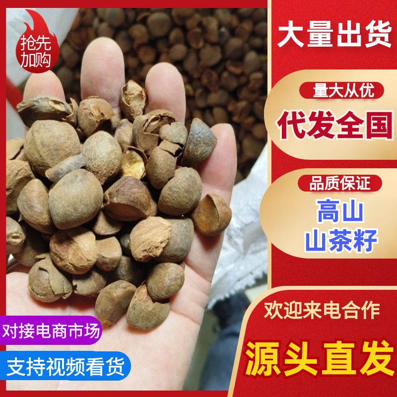 皖南山区高山山茶籽油茶籽出油率高保质保量对接全国