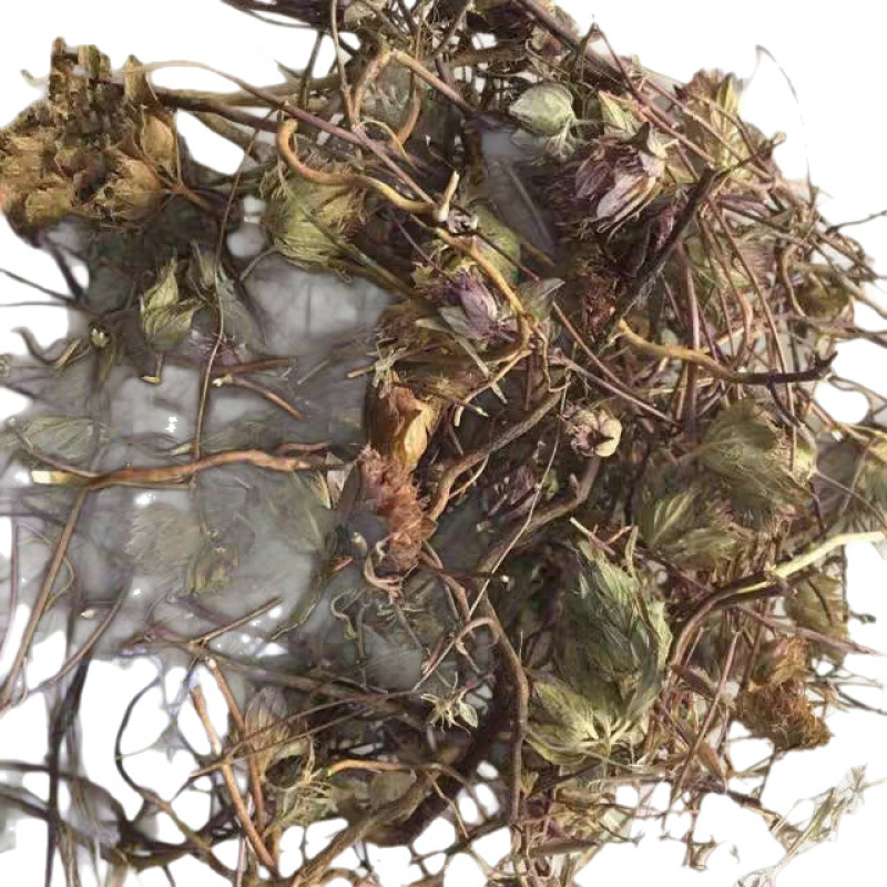 中药材神香草、牛膝草、海索草牛膝草大货批发