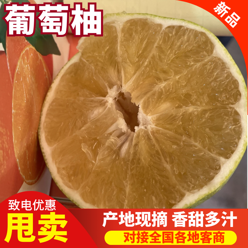 【热卖】上海葡萄柚产地现摘鲜甜多汁，量大优惠欢迎电联