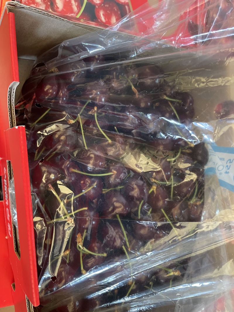 高端樱桃品质上乘可零售/批发，量大优惠！！！
