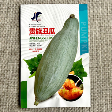贵族南瓜种子贵族丑瓜中晚熟品种老瓜灰色或浅灰色甜面糥
