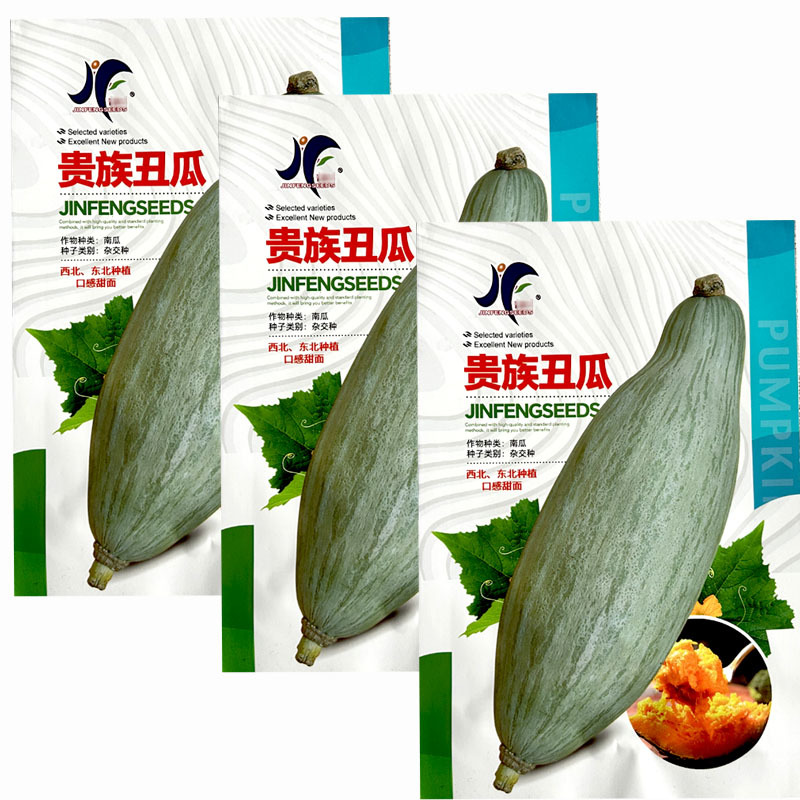 贵族南瓜种子贵族丑瓜中晚熟品种老瓜灰色或浅灰色甜面糥