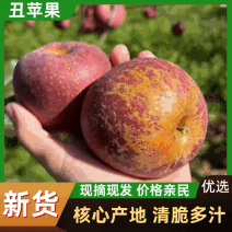 【冰糖心丑苹果】四川大凉山苹果/现摘现发/量大从优