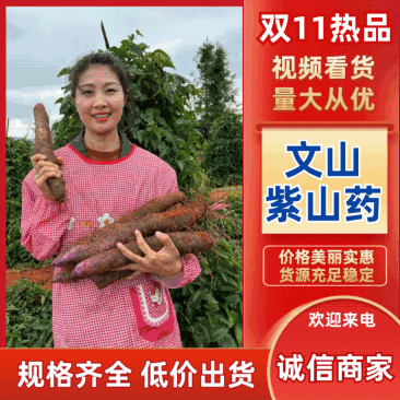 山药文山紫玉淮山药【常年批发/全国发货】量大从优欢迎来电