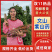 山药文山紫玉淮山药【常年批发/全国发货】量大从优欢迎来电