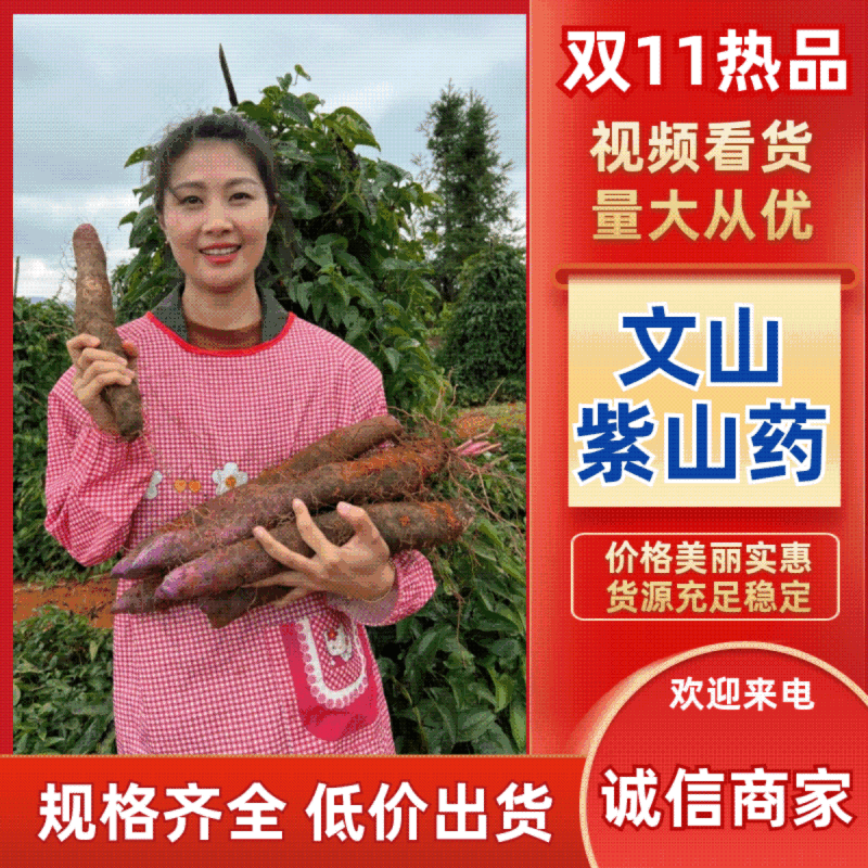山药文山紫玉淮山药【常年批发/全国发货】量大从优欢迎来电