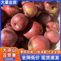 大凉山糖心丑苹果【量大价优】实力供应/品质保证/代发全国